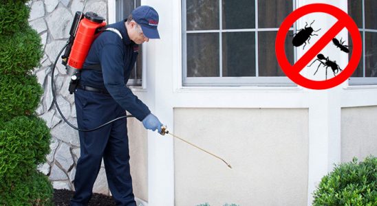 Şenpazar Akrep İlaçlama böcek ilaçlama ve haşere kontrolü — ilaclama-tr.com